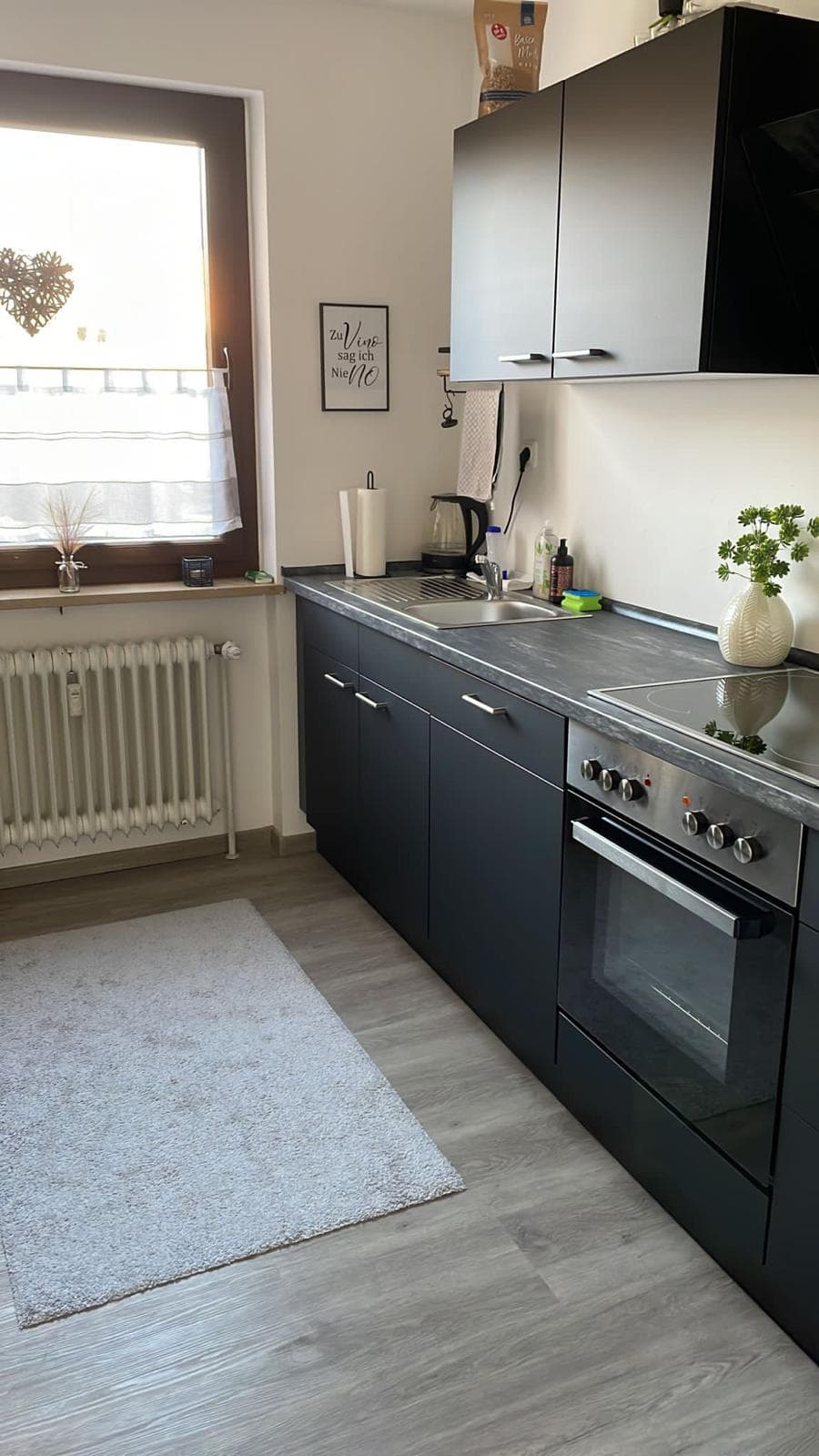 Appartement T3 loué avec terrasse — Selb — photo 3