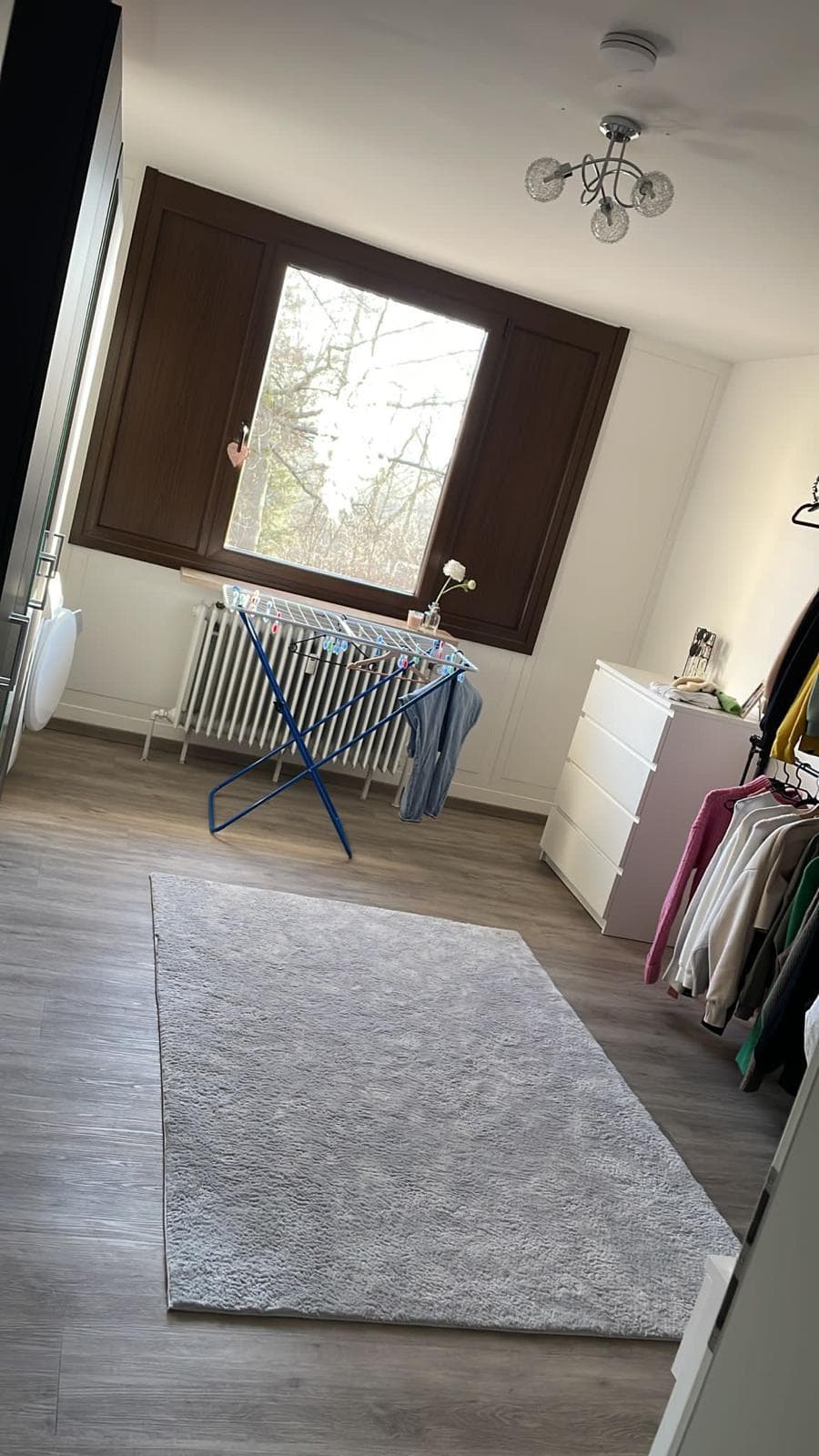 Appartement T3 loué avec terrasse — Selb — photo 4